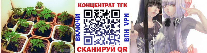 Дистиллят ТГК THC oil MEGA сайт Алапаевск