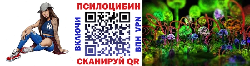 Псилоцибиновые грибы Psilocybine cubensis  Алапаевск 